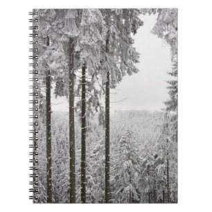 Caderno Espiral Floresta verde no inverno