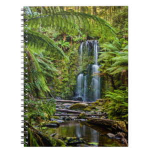 Caderno Espiral Florestas   Beauchamp Falls Austrália