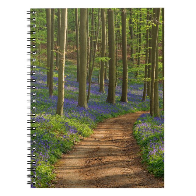Caderno Espiral Florestas | Floresta Bluebell na Bélgica (Frente)