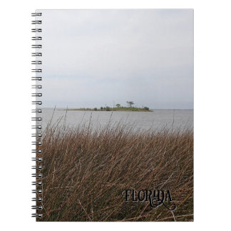 Caderno Espiral Florida Golfo Beach Proibindo a Needlerush Foto
