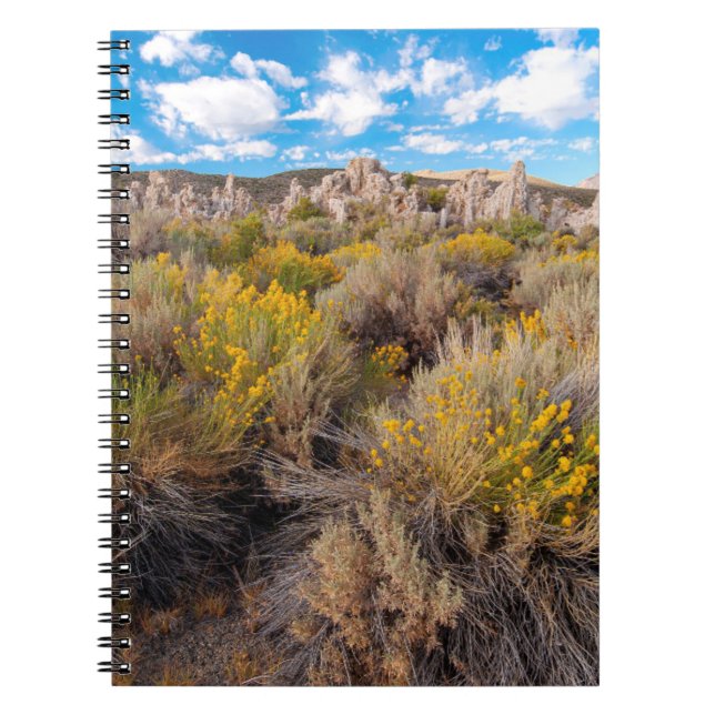 Caderno Espiral Flowers | Blooming Sagebrush California (Frente)