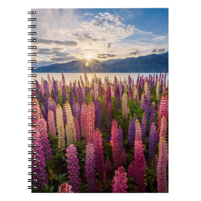 Caderno Espiral Flowers | Lupines New Zealand (Frente)