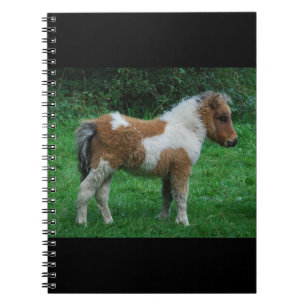 Caderno Espiral Fluffy Adorable Dartmoor Pony