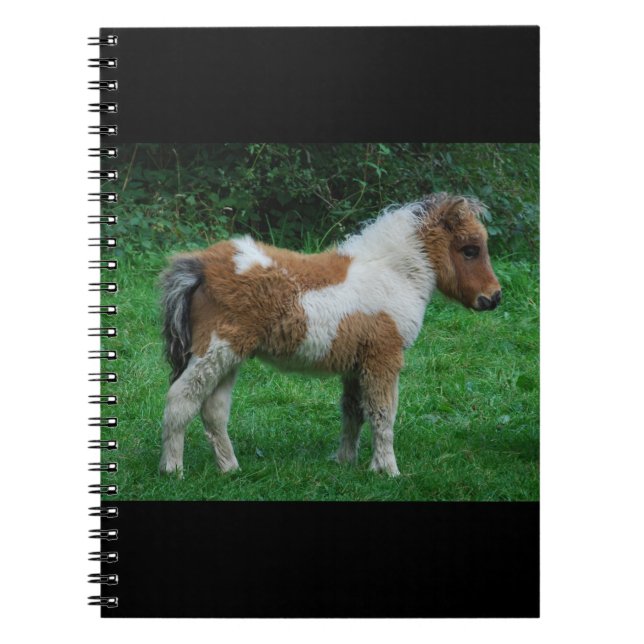Caderno Espiral Fluffy Adorable Dartmoor Pony (Frente)