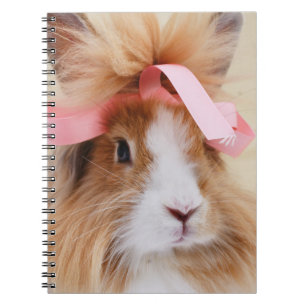 Caderno Espiral Fluffy Lionhead Bunny Rabbit