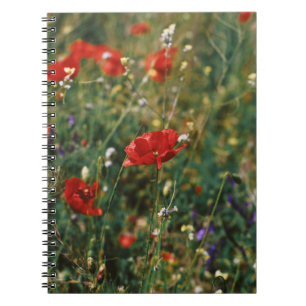 CADERNO ESPIRAL FLUXAS LINDAS