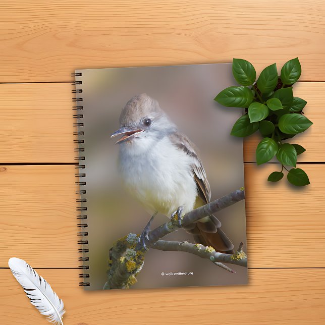 Caderno Espiral Flycatcher-Espinheira-Cinza-Trocada na Ramificação (WWN Ash-Throated Flycatcher on Branch Notebook Cover Photo)