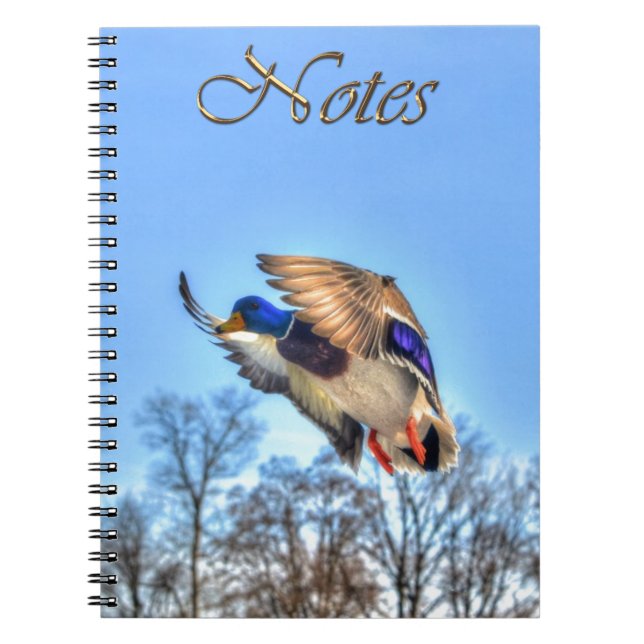 Caderno Espiral Flying Mallard Duck Drake Wildlife Foto (Frente)