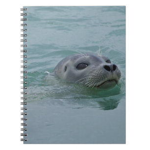 Caderno Espiral Foca-comum nadando no lago glacial Jokulsarlon