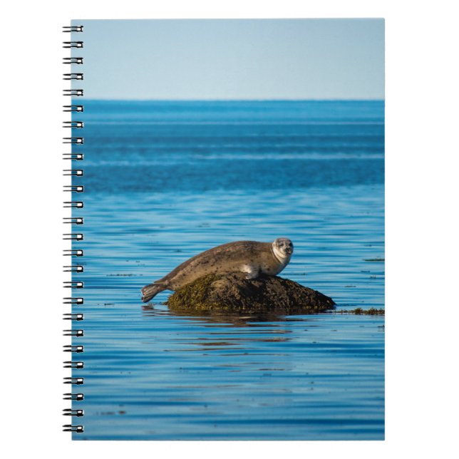 Caderno Espiral Foca-do-Atlântico (Frente)