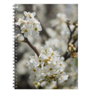 Caderno Espiral Foco Seletivo de Bradford