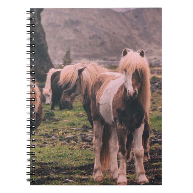 CADERNO ESPIRAL FOCUS FOTOGRAFIA DE CAVALOS (Frente)