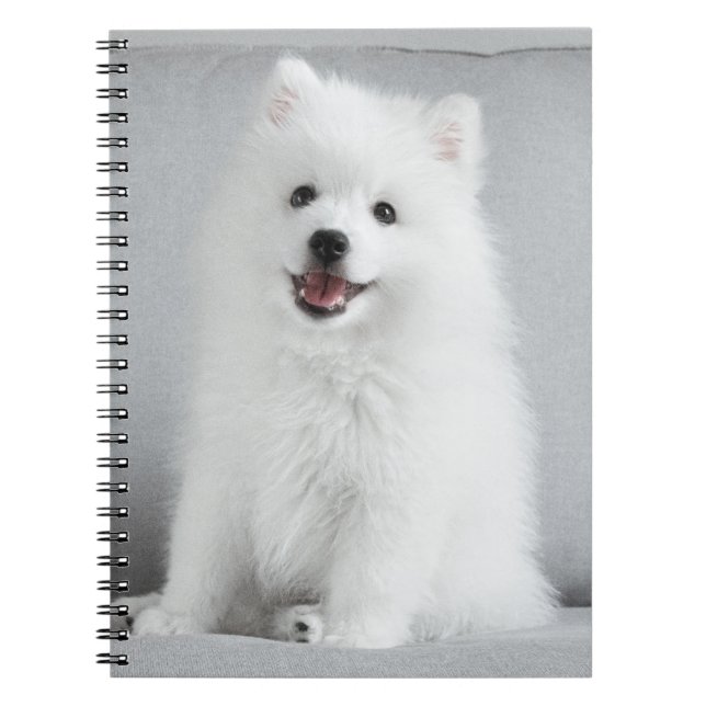 Caderno Espiral Fofo Bonito, Puppy Spitz Japonês (Frente)
