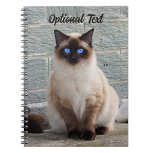 Caderno Espiral Fofo Personalizado com Olhos Azuis