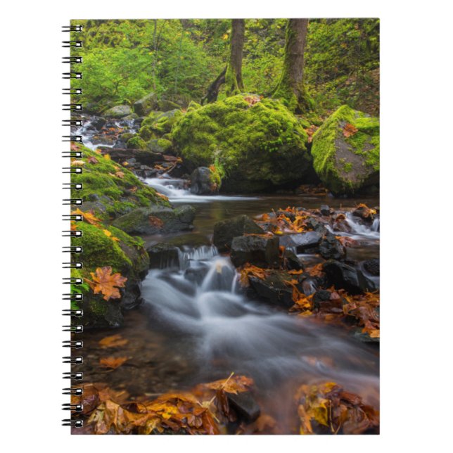 Caderno Espiral Foguetes de Creek de Fome | Columbia Gorge, Oregon (Frente)