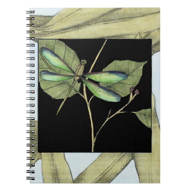 Caderno Espiral Folgas com Interesse de Dragonfly por Jennifer Gol (Frente)