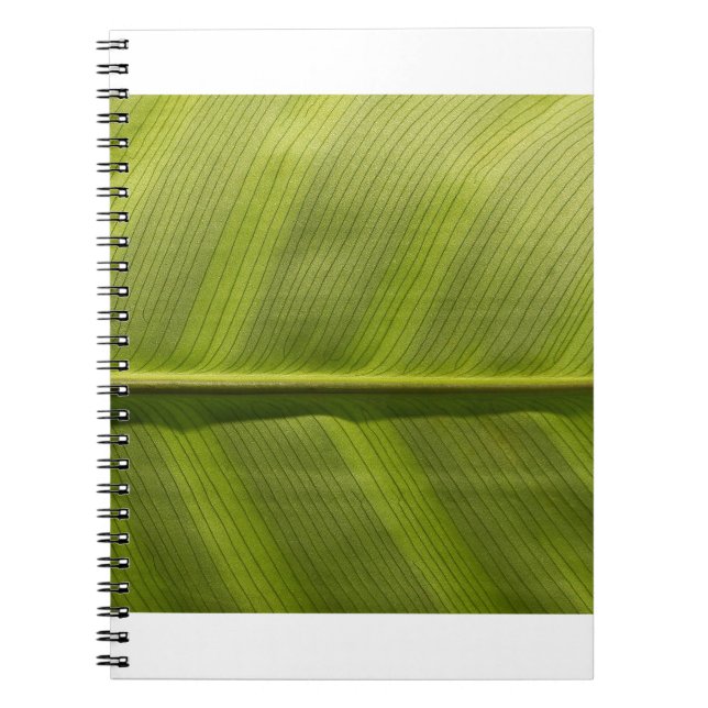 Caderno Espiral folha (Frente)