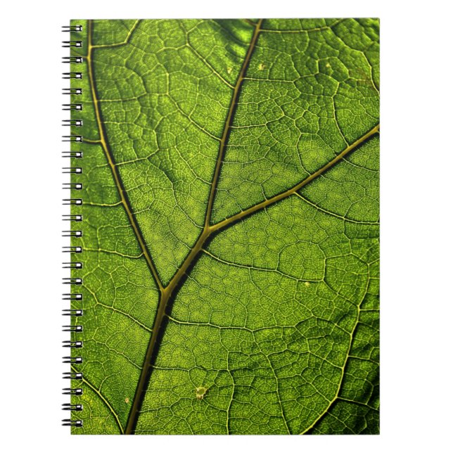 Caderno Espiral Folha de Borboleta Verde (Frente)