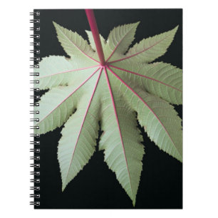 Caderno Espiral Folha e haste