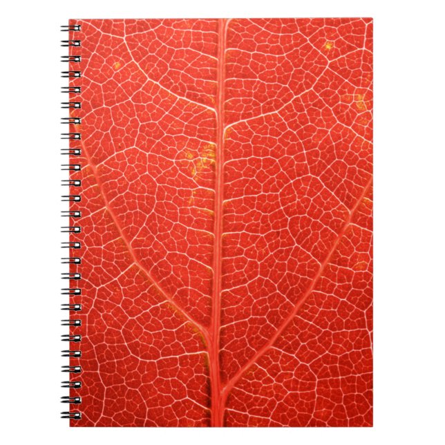Caderno Espiral Folha outonal (Frente)