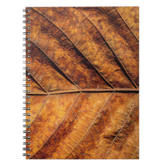 Caderno Espiral Folha seca: fundo natural de textura.