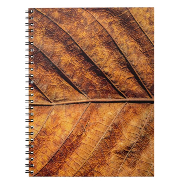Caderno Espiral Folha seca: fundo natural de textura. (Frente)