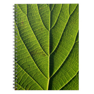 Caderno Espiral Folha verde