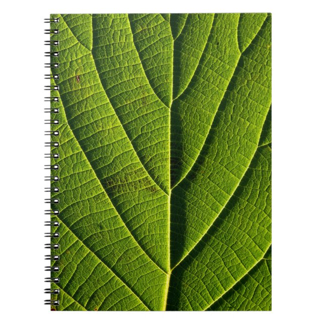Caderno Espiral Folha verde (Frente)