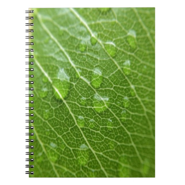 Caderno Espiral Folha Verde (Frente)