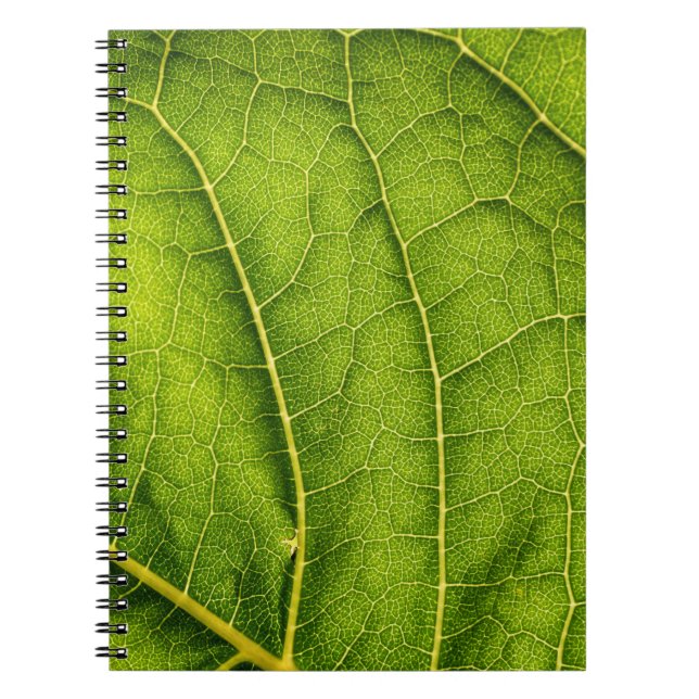 Caderno Espiral Folha verde (Frente)