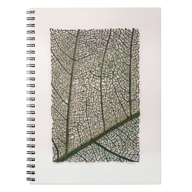 Caderno Espiral Folha verde (Frente)