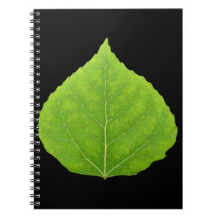 Caderno Espiral Folha verde #11 de Aspen