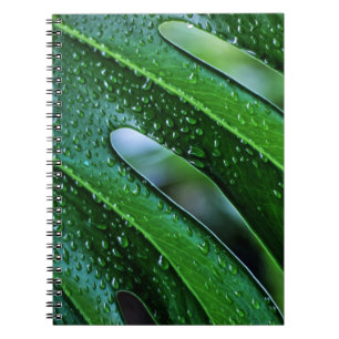 Caderno Espiral Folha verde da planta Monstera