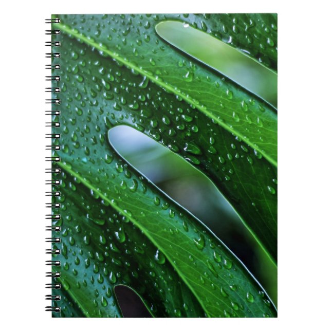 Caderno Espiral Folha verde da planta Monstera (Frente)