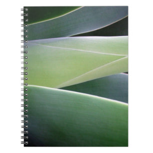 Caderno Espiral Folhas da agave
