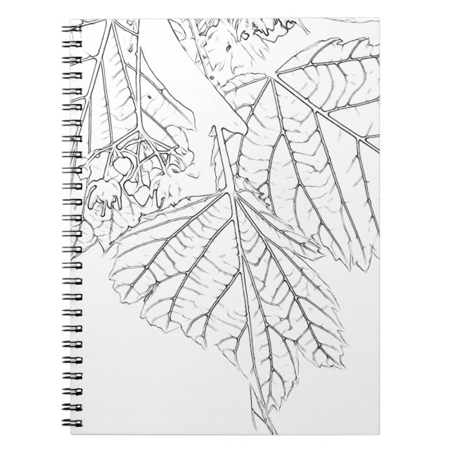 Caderno Espiral Folhas de madeira (Frente)