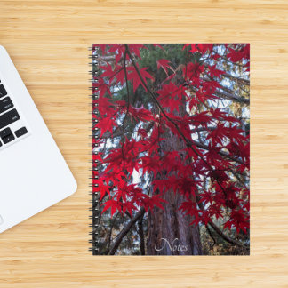 Caderno Espiral Folhas de Mapeamento Vermelho e Sequoia Gigante