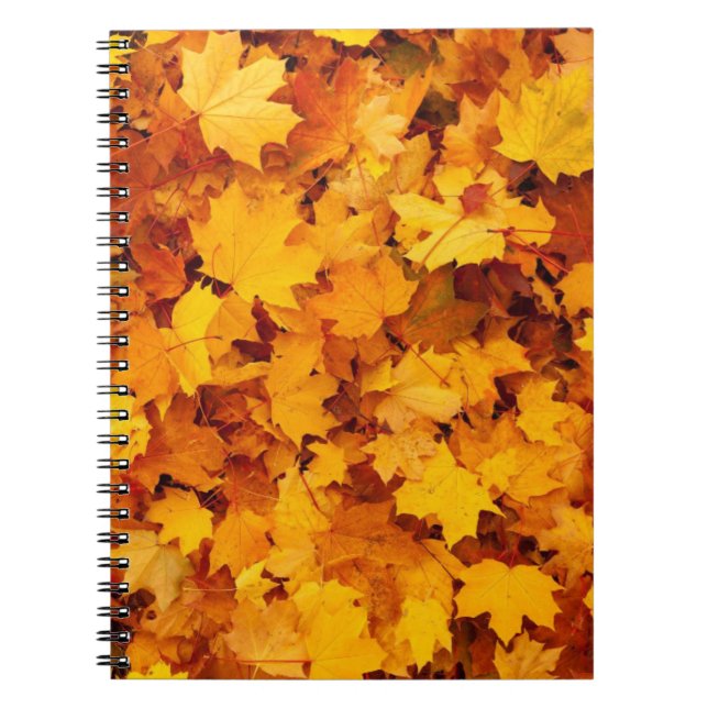 Caderno Espiral Folhas de outono (Frente)