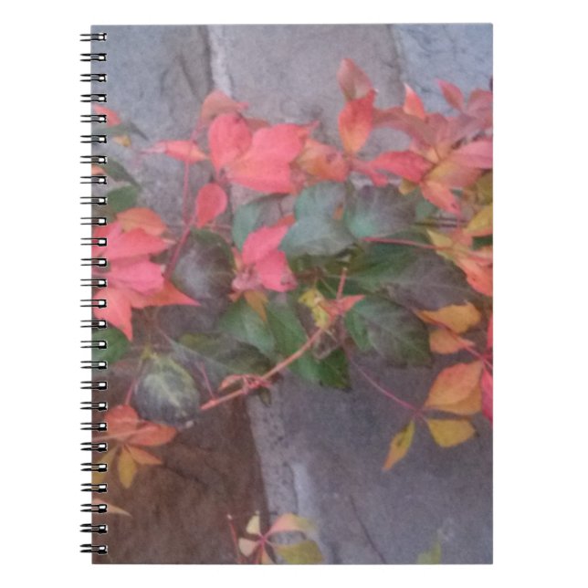 Caderno Espiral Folhas de outono (Frente)
