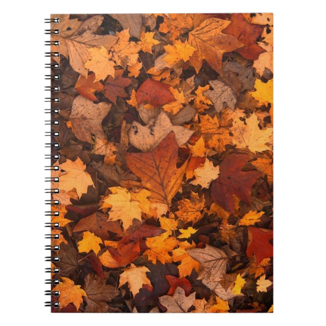 Caderno Espiral Folhas de outono (Frente)