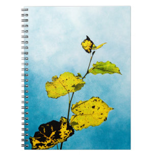 Caderno Espiral Folhas de outono