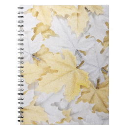 Caderno Espiral Folhas de outono