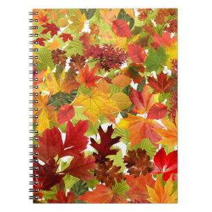 Caderno Espiral Folhas de outono do outono