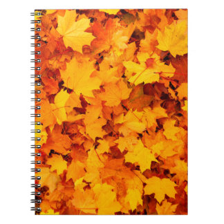 Caderno Espiral Folhas de outono folhagem folhas de outono