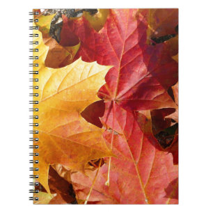 Caderno Espiral Folhas de outono - Incrível!