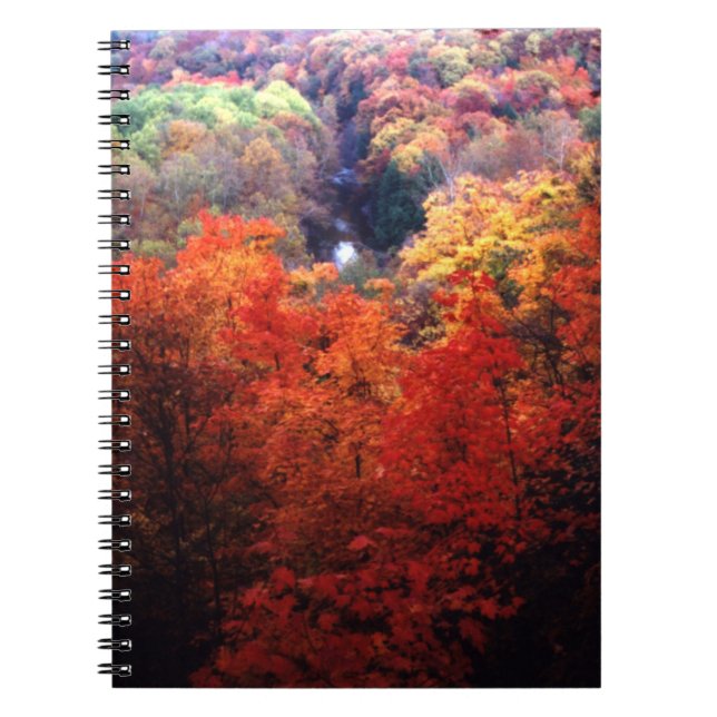 Caderno Espiral Folhas de Outono Mudando de Cor (Frente)