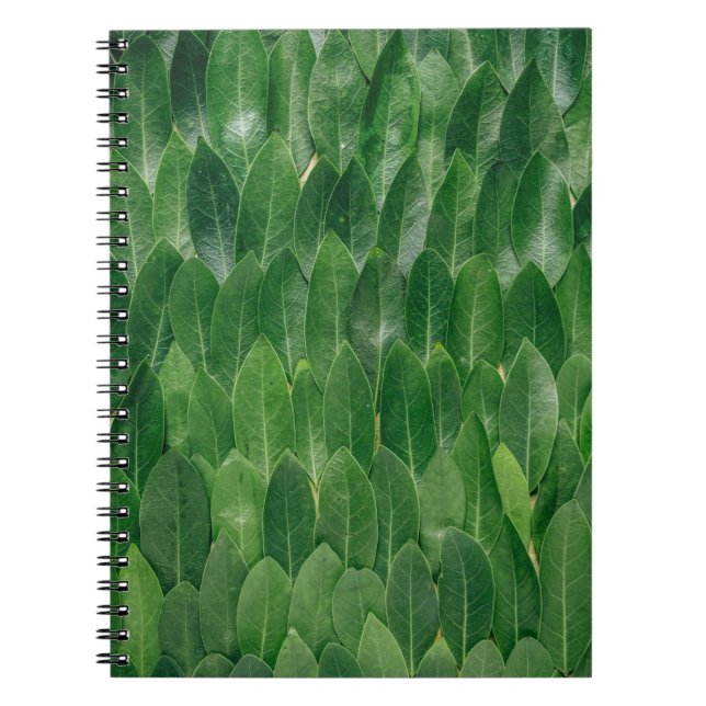 Caderno Espiral Folhas de plantas vermelhas (Frente)