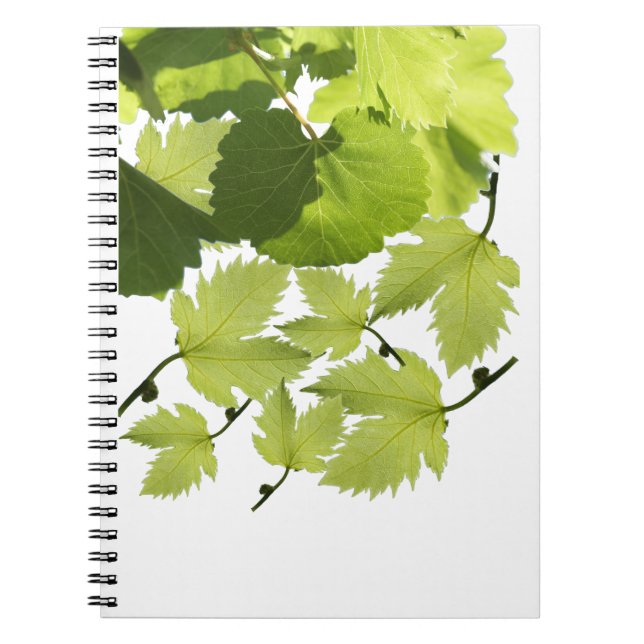Caderno Espiral Folhas de Vinho Verde (Frente)