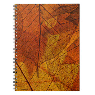 Caderno Espiral Folhas do outono no outono detalhado, fundo, belez