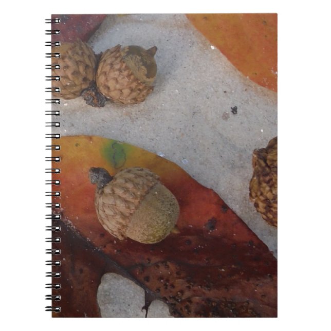 Caderno Espiral Folhas e bolotas de laranja (Frente)